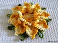 Flor bico de papagaio passo a passo - www.croche.com (64)