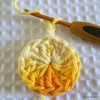 Flor bico de papagaio passo a passo - www.croche.com (7)