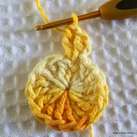 Flor bico de papagaio passo a passo - www.croche.com (8)