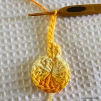 Flor bico de papagaio passo a passo - www.croche.com (9)