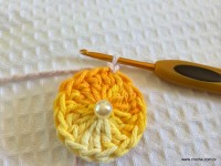 Flor caracol - www.croche.com (1)