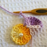 Flor caracol - www.croche.com (11)