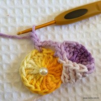 Flor caracol - www.croche.com (13)