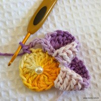 Flor caracol - www.croche.com (16)