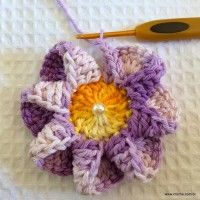 Flor caracol - www.croche.com (17)