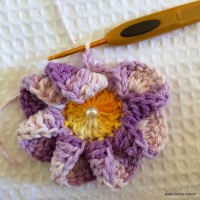Flor caracol - www.croche.com (18)