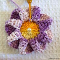 Flor caracol - www.croche.com (19)