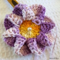 Flor caracol - www.croche.com (20)