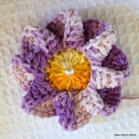 Flor caracol - www.croche.com (21)