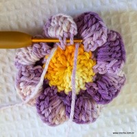 Flor caracol - www.croche.com (22)