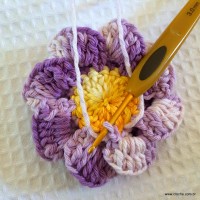 Flor caracol - www.croche.com (23)
