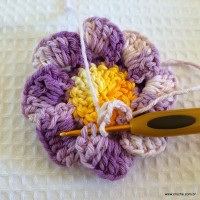 Flor caracol - www.croche.com (24)