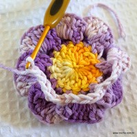 Flor caracol - www.croche.com (25)