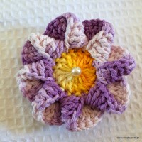 Flor caracol - www.croche.com (26)