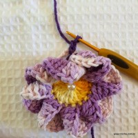 Flor caracol - www.croche.com (28)