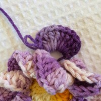 Flor caracol - www.croche.com (31)