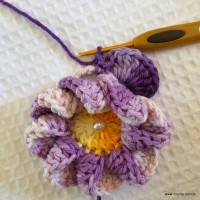 Flor caracol - www.croche.com (32)