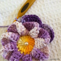 Flor caracol - www.croche.com (33)