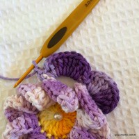 Flor caracol - www.croche.com (34)