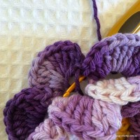 Flor caracol - www.croche.com (38)