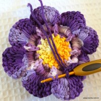 Flor caracol - www.croche.com (40)