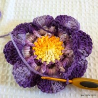 Flor caracol - www.croche.com (41)