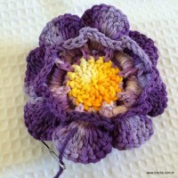 Flor caracol - www.croche.com (42)