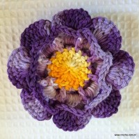 Flor caracol - www.croche.com (43)