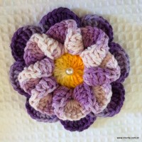 Flor caracol - www.croche.com (44)
