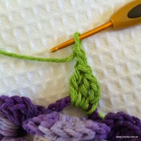 Flor caracol - www.croche.com (47)