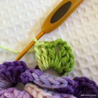 Flor caracol - www.croche.com (48)