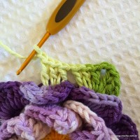 Flor caracol - www.croche.com (49)