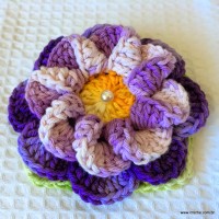 Flor caracol - www.croche.com (52)