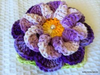 Flor caracol - www.croche.com (58)