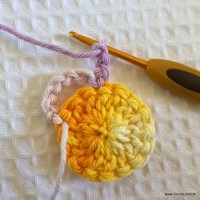 Flor caracol - www.croche.com (6)