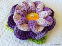 Flor caracol - www.croche.com (63)