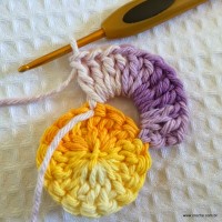 Flor caracol - www.croche.com (7)