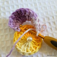 Flor caracol - www.croche.com (9)