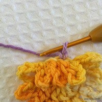 Flor carinho passo a passo - www.croche.com (13)