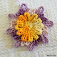 Flor carinho passo a passo - www.croche.com (25)