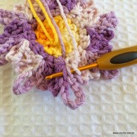 Flor carinho passo a passo - www.croche.com (27)