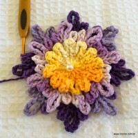 Flor carinho passo a passo - www.croche.com (35)