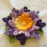 Flor carinho passo a passo - www.croche.com (59)