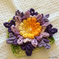 Flor carinho passo a passo - www.croche.com (60)