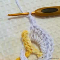 Flor copo de leite passo a passo - www.croche.com (34)
