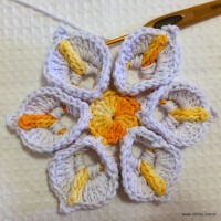 Flor copo de leite passo a passo - www.croche.com (60)