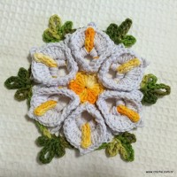 Flor copo de leite passo a passo - www.croche.com (81)