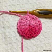 Flor cravo passo a passo - www.croche.com (1)