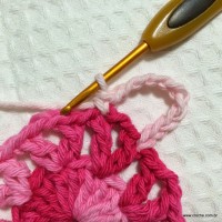 Flor cravo passo a passo - www.croche.com (10)