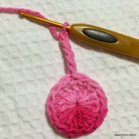 Flor cravo passo a passo - www.croche.com (2)